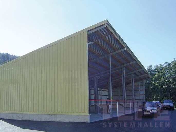 Pultdachhalle - 10,00m Tiefe - Dachneigung 20°